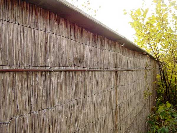 Schilfplatten auf einer Holzkonstruktion mit einem abgeschrägtem Brett aus Holz als Bewitterungsschutz für die Kanten der Schilfplatten.